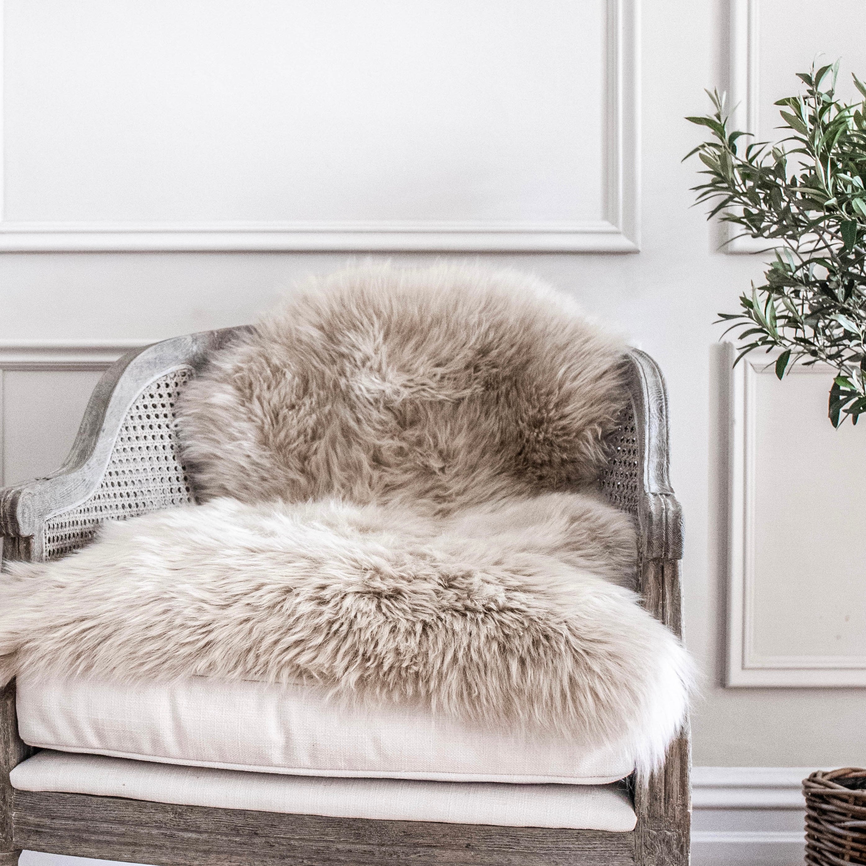 Complimentary Luxe Sheepskin in oyster
