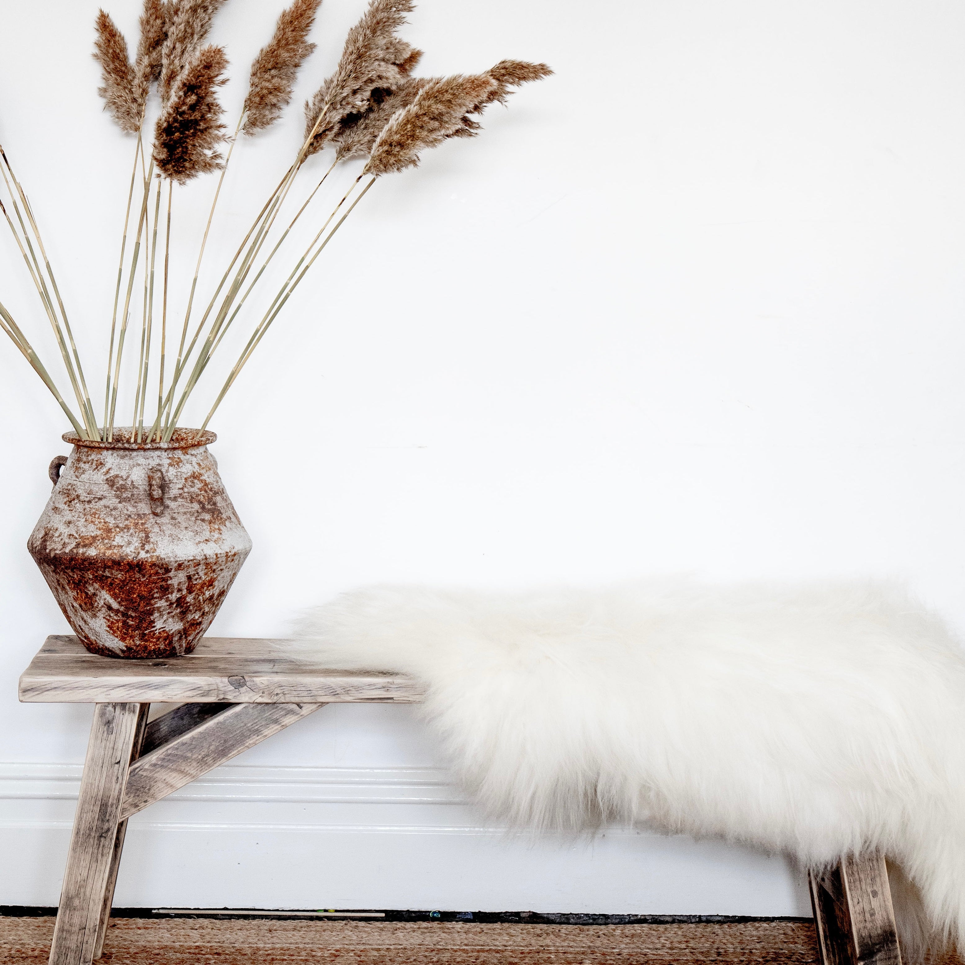 Icelandic Rare Breed Sheepskin in Ivory